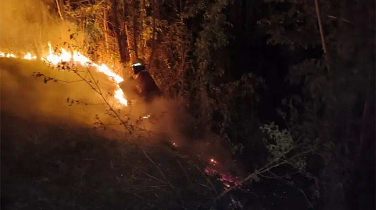 Fuerte incendio de pastizal en Nicolás Bravo, Macuspana, causa preocupación entre los ciudadanos