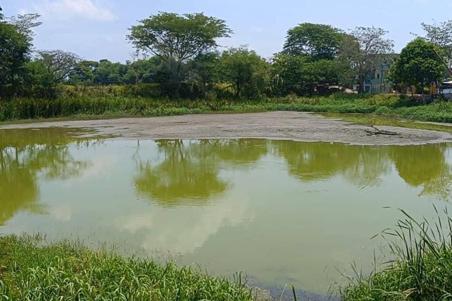 Responsabilizan a pipas de constructoras de secar laguna de ´El Sacrificio´, en Gaviotas