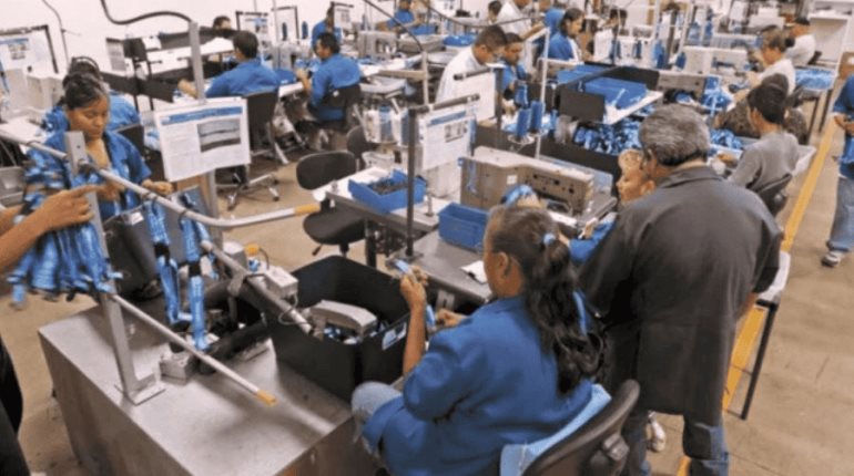 Defiende Sheinbaum a trabajadores mexicanos de evaluación de la OCDE que ubica a México como uno de los menos productivos