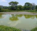 Competencia de Centro, extracción clandestina de agua en laguna de Gaviotas: Conagua
