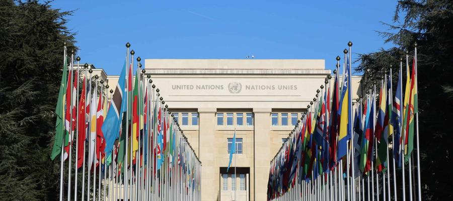 17 países, incluido México, piden a la ONU desarme de Hamás y creación de Estado palestino 17 países, incluido México, piden a la ONU desarme de Hamás y creación de Estado palestino