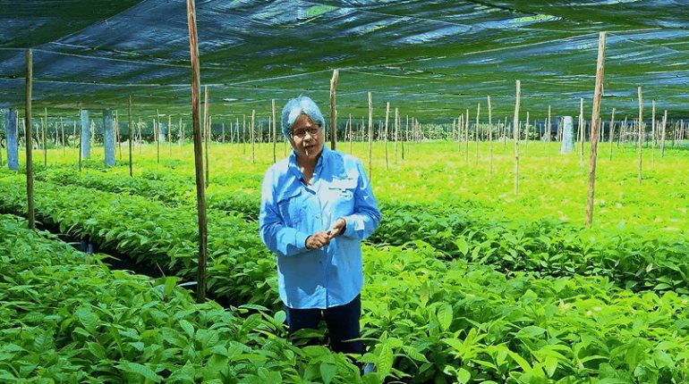 Viveros Los Pinos y El Morralero aportarán 1.5 millones de plantas a jornada de reforestación: Sedap