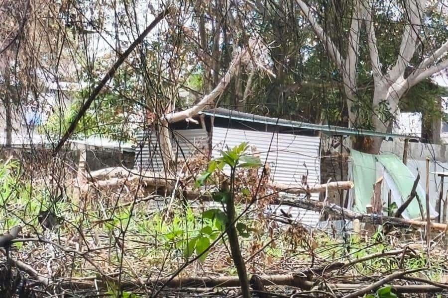 Denuncian presunta invasión de terrenos de secundaria en la Villa Ocuiltzapotlán Denuncian presunta invasión de terrenos de secundaria en la Villa Ocuiltzapotlán