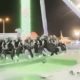 Juego mecánico en Arabia Saudita colapsa y deja varios heridos