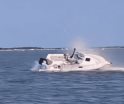 Muere ballena al chocar con bote frente a costas de Nueva Jersey