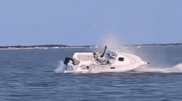 Muere ballena al chocar con bote frente a costas de Nueva Jersey