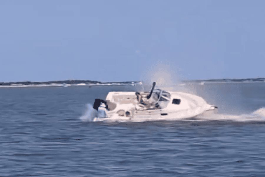 Muere ballena al chocar con bote frente a costas de Nueva Jersey Muere ballena al chocar con bote frente a costas de Nueva Jersey