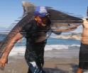Pescador captura tiburón tigre con las manos en playa de Michoacán