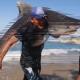 Pescador captura tiburón tigre con las manos en playa de Michoacán