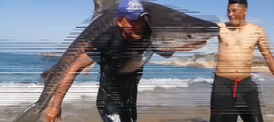 Pescador captura tiburón tigre con las manos en playa de Michoacán Pescador captura tiburón tigre con las manos en playa de Michoacán