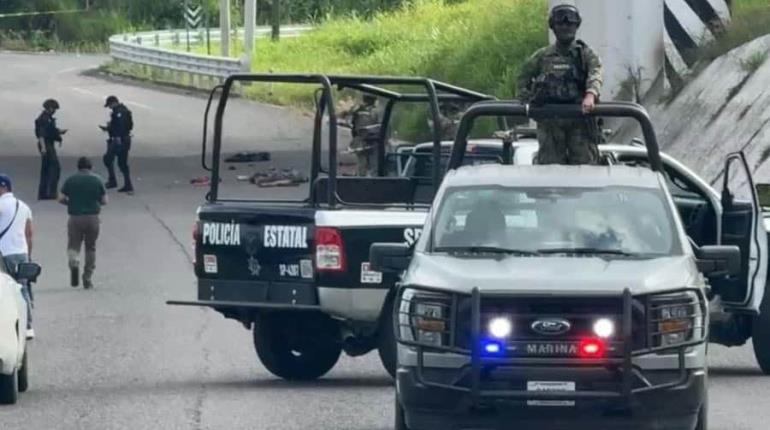 Localizan cuerpos desmembrados en carretera de Veracruz