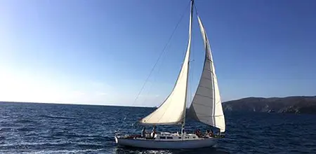 Francia decomisa casi 2 toneladas de droga procedente de México ¡la trasladaban en un velero!