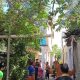 Seis muertos y dos lesionadas deja choque entre tren y tres vehículos en Guanajuato