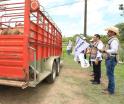Entrega gobierno cabezas de ganado del programa "Crédito Ganadero a la Palabra" en Emiliano Zapata