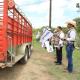 Entrega gobierno cabezas de ganado del programa "Crédito Ganadero a la Palabra" en Emiliano Zapata