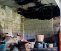 Más de 2 mil murciélagos encuentran refugio temporal en vivienda de Tlaxcala