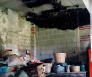 Más de 2 mil murciélagos encuentran refugio temporal en vivienda de Tlaxcala