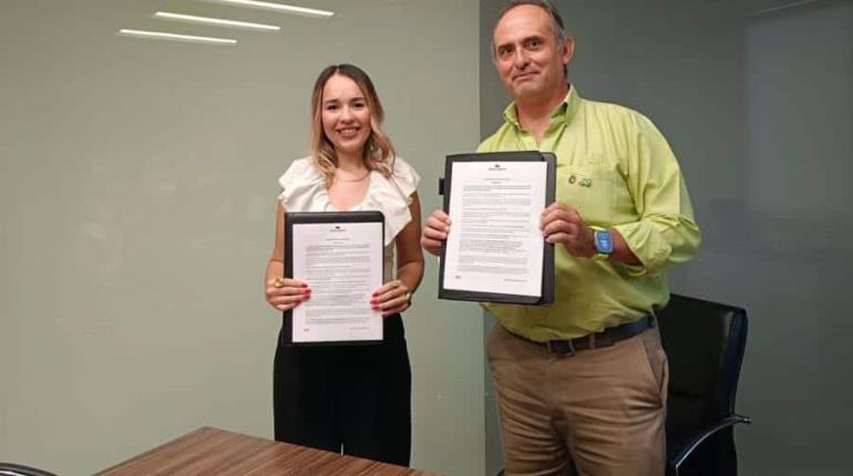 Cadena restaurantera de Sonora dice confiar de invertir en Villahermosa