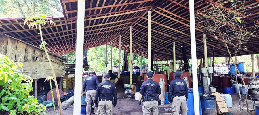 Decomisan casi una tonelada de metanfetamina en Palenque, Chiapas