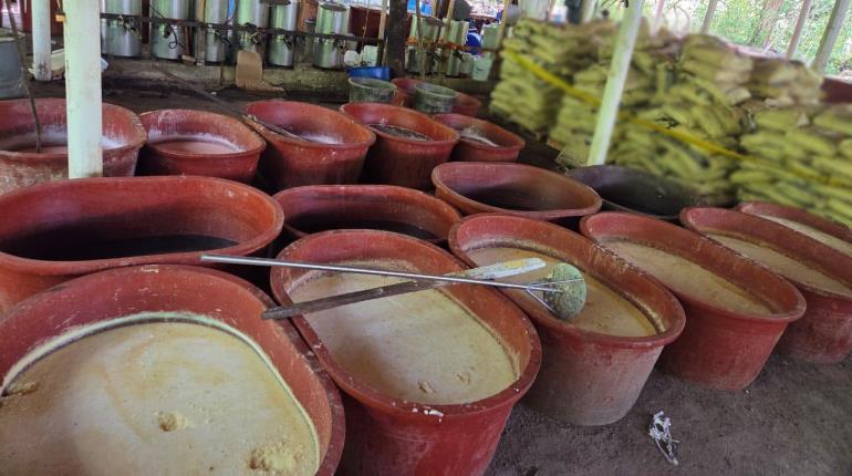 Desmantelan narcolaboratorio en Chiapas y aseguran 2.5 toneladas de metanfetaminas