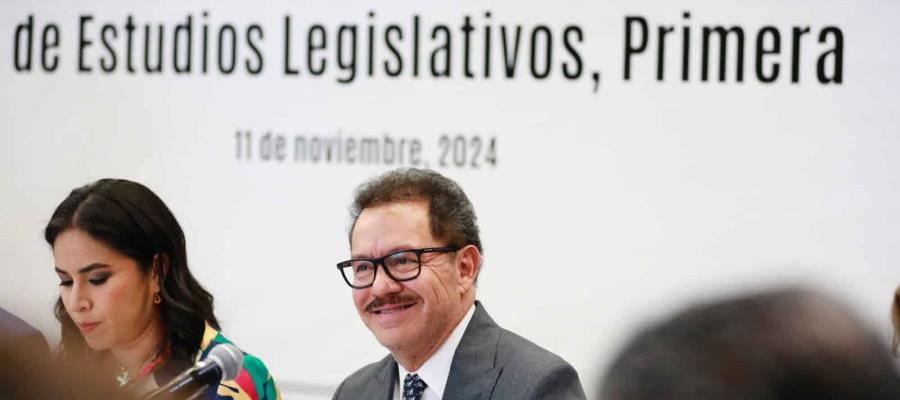 Acuerda Morena llevar a una mujer a la presidencia del Senado Acuerda Morena llevar a una mujer a la presidencia del Senado