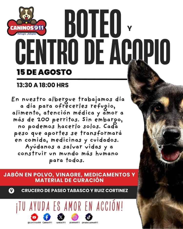 imagen-cuerpo
