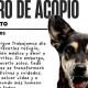 En los últimos 4 años en Centro se han invertido más de 100 mdp al mejoramiento de viviendas: Osuna