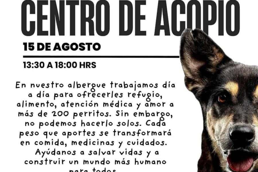Llama Caninos 911 a participar este viernes en el ´Boteo y Centro de Acopio´ a favor de los perritos