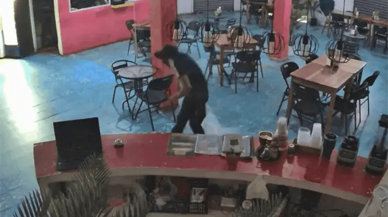 Más de 50 personas han sido detenidas por robo a comercios con violencia; delito va a la baja: FGE