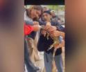 Alumnos de la UJAT salvan a iguana que tenía bolsa en la boca
