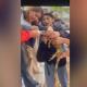 Pareja y menor se salvan de ser arrollados por tráiler tras accidente