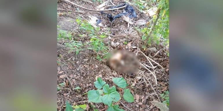 Localizan restos humanos en El Guácimo, Nacajuca