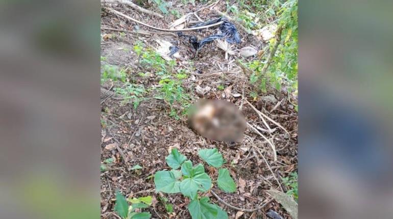 Localizan restos humanos en El Guácimo, Nacajuca