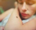Tabasco, 2do. lugar nacional en incidencia de dengue: Salud