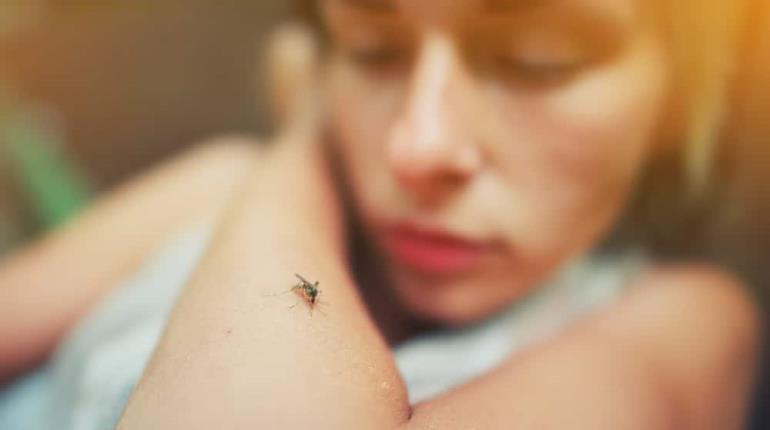 Tabasco, 2do. lugar nacional en incidencia de dengue: Salud