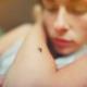 Tabasco, 2do. lugar nacional en incidencia de dengue: Salud