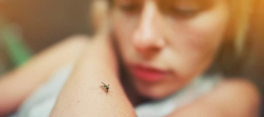 Tabasco, 2do. lugar nacional en incidencia de dengue: Salud