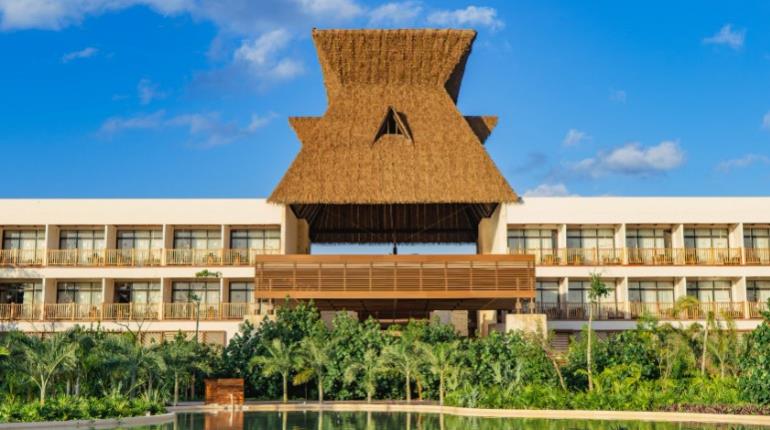 Hotel de Defensa en Tulum en riesgo por plaga de escarabajo barrenador