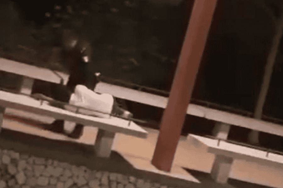 Niega SSPC que agente haya robado celular en malecón de Gaviotas