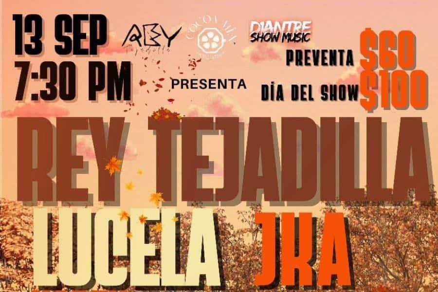 Concierto Cuando las hojas nacen se realizará el 13 de septiembre con talento local y nacional