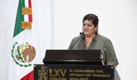 Diputada de Morena ve necesaria eliminación de ´pluris´; "solo se las agandallan los dirigentes", dice