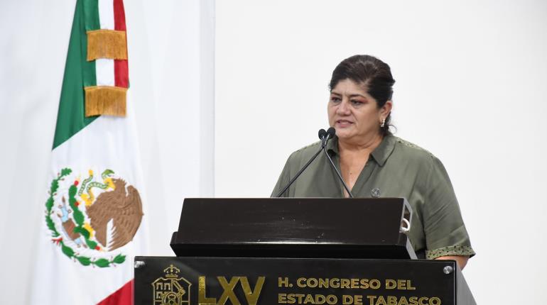 Diputada de Morena ve necesaria eliminación de ´pluris´; "solo se las agandallan los dirigentes", dice