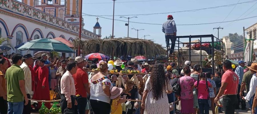 Celebran la tradicional enrama en Cupilco Celebran la tradicional enrama en Cupilco