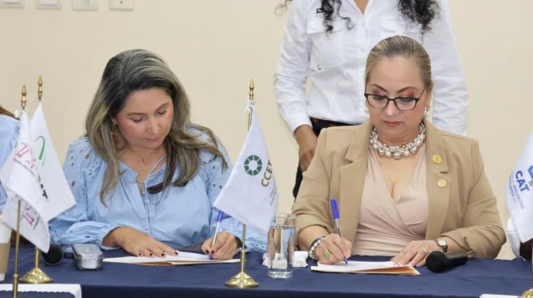 SNET seleccionará perfiles para vacantes de afiliados al Consejo Coordinador de Tabasco