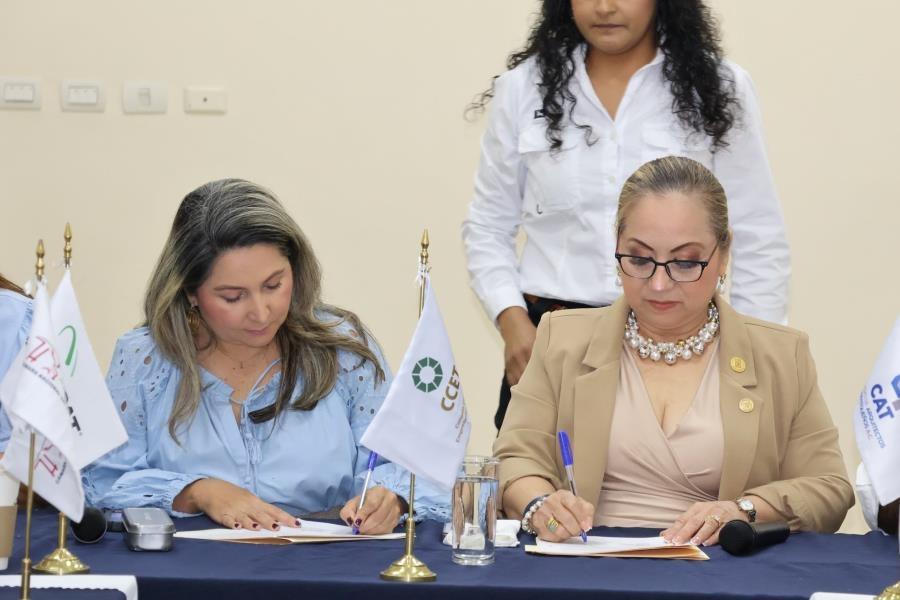 SNET seleccionará perfiles para vacantes de afiliados al Consejo Coordinador de Tabasco SNET seleccionará perfiles para vacantes de afiliados al Consejo Coordinador de Tabasco