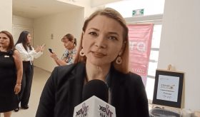 Depresión, ansiedad y abuso de sustancias, problemas que afectarán en 2030: Colegio de Psicólogos de Tabasco
