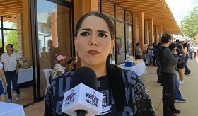 Será a principios de septiembre cuando se instale el Comité Promotor de Inversión en Tabasco: Ornelas