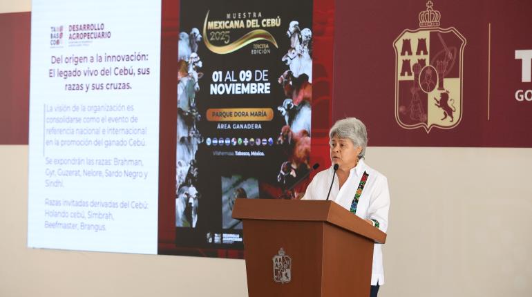 Con expositores de 12 países, realizarán en Tabasco la tercera Muestra Mexicana del Cebú 2025