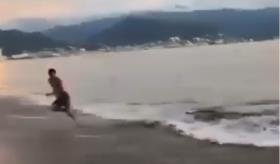Joven apenas se libra de ataque de cocodrilo en playa de Puerto Vallarta