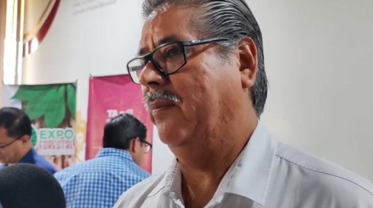Tabasco 4to lugar nacional en plantación forestal comercial y producción de madera: Comesfor